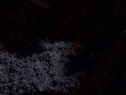extant_XenaWarriorPrincess_5x06-Purity_1783