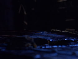 extant_XenaWarriorPrincess_5x06-Purity_1813