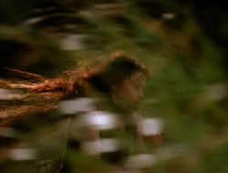 extant_XenaWarriorPrincess_5x06-Purity_1843