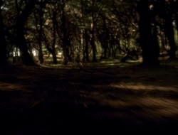 extant_XenaWarriorPrincess_5x06-Purity_1847