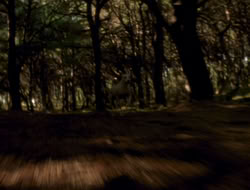 extant_XenaWarriorPrincess_5x06-Purity_1849