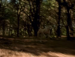 extant_XenaWarriorPrincess_5x06-Purity_1850