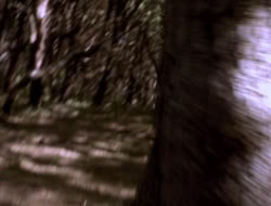 extant_XenaWarriorPrincess_5x06-Purity_1854