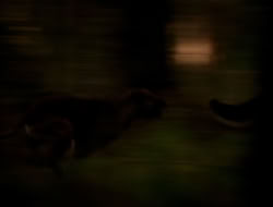 extant_XenaWarriorPrincess_5x06-Purity_1855