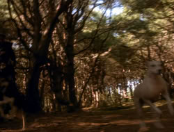 extant_XenaWarriorPrincess_5x06-Purity_1860