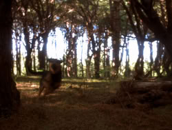 extant_XenaWarriorPrincess_5x06-Purity_1874