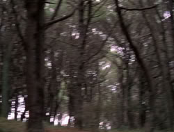 extant_XenaWarriorPrincess_5x06-Purity_2158
