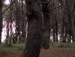 extant_XenaWarriorPrincess_5x06-Purity_2161