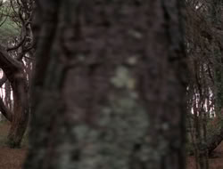 extant_XenaWarriorPrincess_5x06-Purity_2168
