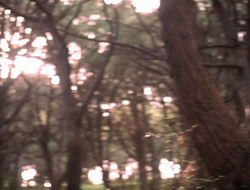 extant_XenaWarriorPrincess_5x06-Purity_2175
