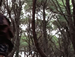 extant_XenaWarriorPrincess_5x06-Purity_2191