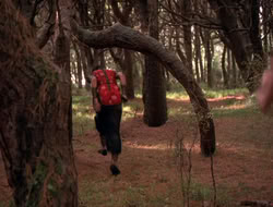 extant_XenaWarriorPrincess_5x06-Purity_2194