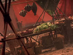 extant_XenaWarriorPrincess_5x06-Purity_3384