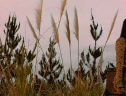 extant_XenaWarriorPrincess_5x06-Purity_3635