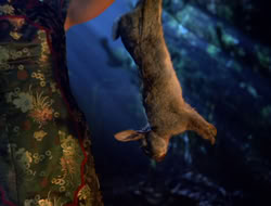 extant_XenaWarriorPrincess_5x07-BackInTheBottle_0107