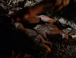 extant_XenaWarriorPrincess_5x07-BackInTheBottle_0204