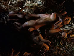 extant_XenaWarriorPrincess_5x07-BackInTheBottle_0205
