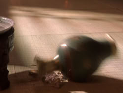 extant_XenaWarriorPrincess_5x07-BackInTheBottle_1557