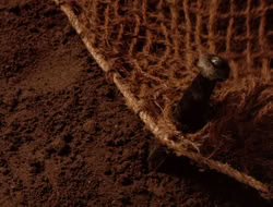 extant_XenaWarriorPrincess_5x07-BackInTheBottle_1915