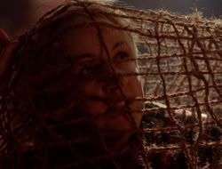extant_XenaWarriorPrincess_5x07-BackInTheBottle_1977