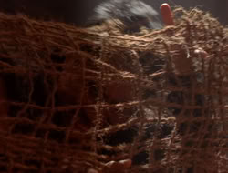 extant_XenaWarriorPrincess_5x07-BackInTheBottle_1985
