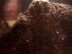 extant_XenaWarriorPrincess_5x07-BackInTheBottle_2020