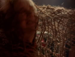 extant_XenaWarriorPrincess_5x07-BackInTheBottle_2049