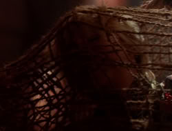 extant_XenaWarriorPrincess_5x07-BackInTheBottle_2053
