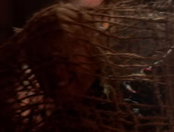 extant_XenaWarriorPrincess_5x07-BackInTheBottle_2054