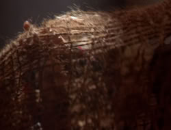extant_XenaWarriorPrincess_5x07-BackInTheBottle_2107