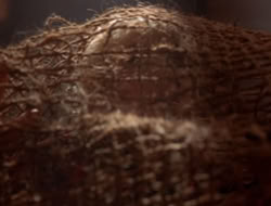 extant_XenaWarriorPrincess_5x07-BackInTheBottle_2112