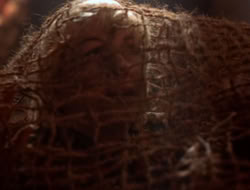extant_XenaWarriorPrincess_5x07-BackInTheBottle_2113