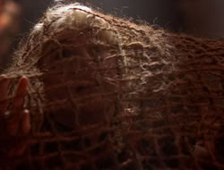 extant_XenaWarriorPrincess_5x07-BackInTheBottle_2115