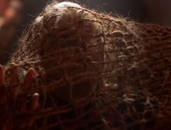 extant_XenaWarriorPrincess_5x07-BackInTheBottle_2116