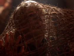 extant_XenaWarriorPrincess_5x07-BackInTheBottle_2117