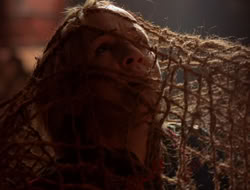 extant_XenaWarriorPrincess_5x07-BackInTheBottle_2124