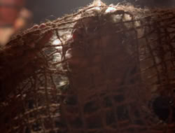extant_XenaWarriorPrincess_5x07-BackInTheBottle_2144