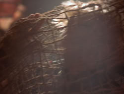 extant_XenaWarriorPrincess_5x07-BackInTheBottle_2146