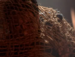 extant_XenaWarriorPrincess_5x07-BackInTheBottle_2147