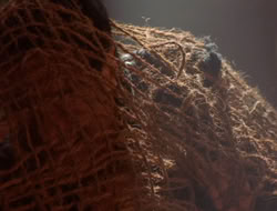 extant_XenaWarriorPrincess_5x07-BackInTheBottle_2148