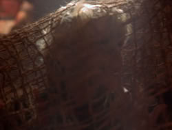 extant_XenaWarriorPrincess_5x07-BackInTheBottle_2149