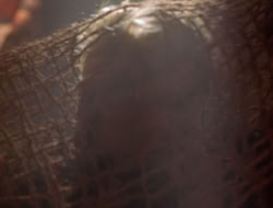 extant_XenaWarriorPrincess_5x07-BackInTheBottle_2150