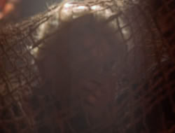 extant_XenaWarriorPrincess_5x07-BackInTheBottle_2151
