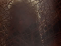 extant_XenaWarriorPrincess_5x07-BackInTheBottle_2153