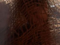 extant_XenaWarriorPrincess_5x07-BackInTheBottle_2155