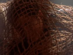 extant_XenaWarriorPrincess_5x07-BackInTheBottle_2156