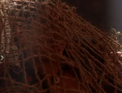 extant_XenaWarriorPrincess_5x07-BackInTheBottle_2174