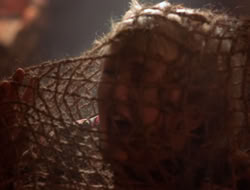 extant_XenaWarriorPrincess_5x07-BackInTheBottle_2181