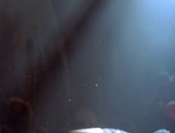 extant_XenaWarriorPrincess_5x07-BackInTheBottle_3027