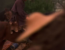 extant_XenaWarriorPrincess_5x07-BackInTheBottle_3584